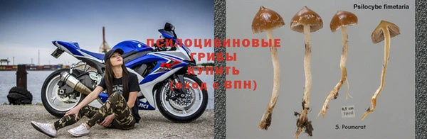 героин Горняк