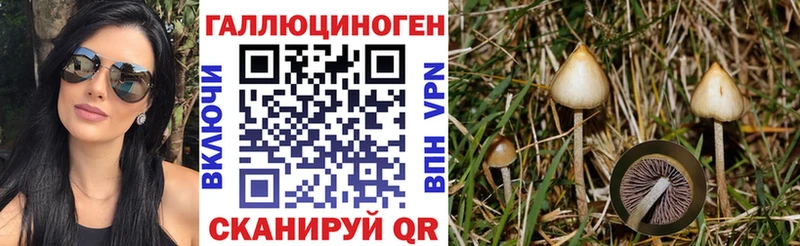 Псилоцибиновые грибы MAGIC MUSHROOMS shop состав Малоярославец