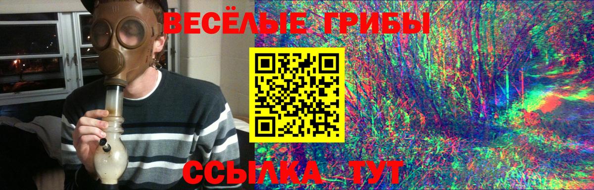Галлюциногенные грибы Cubensis Малоярославец